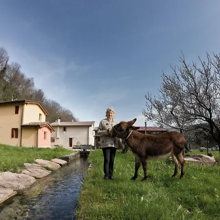 Mulino La Vallina *